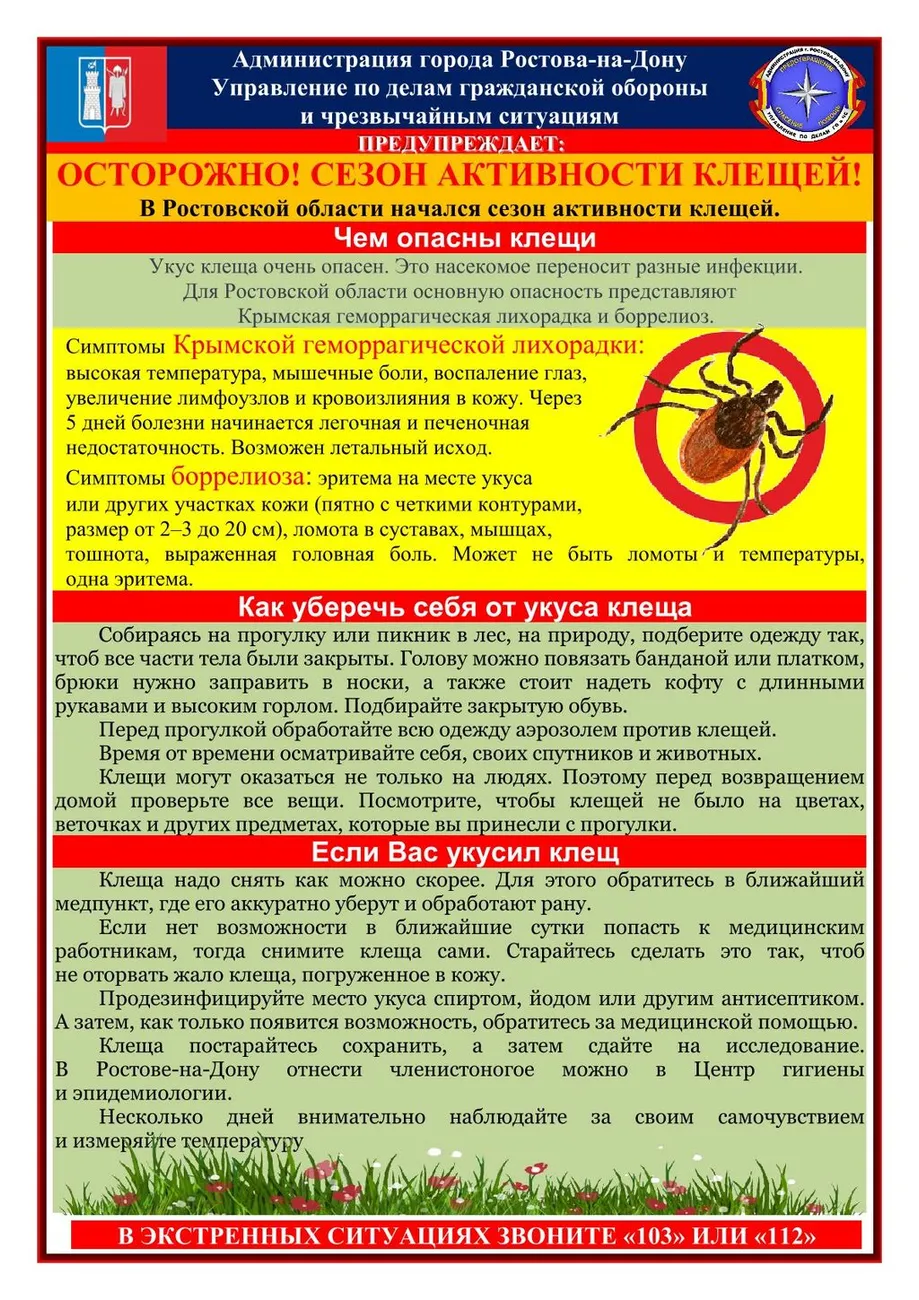 30. Осторожно! Сезон активности клещей