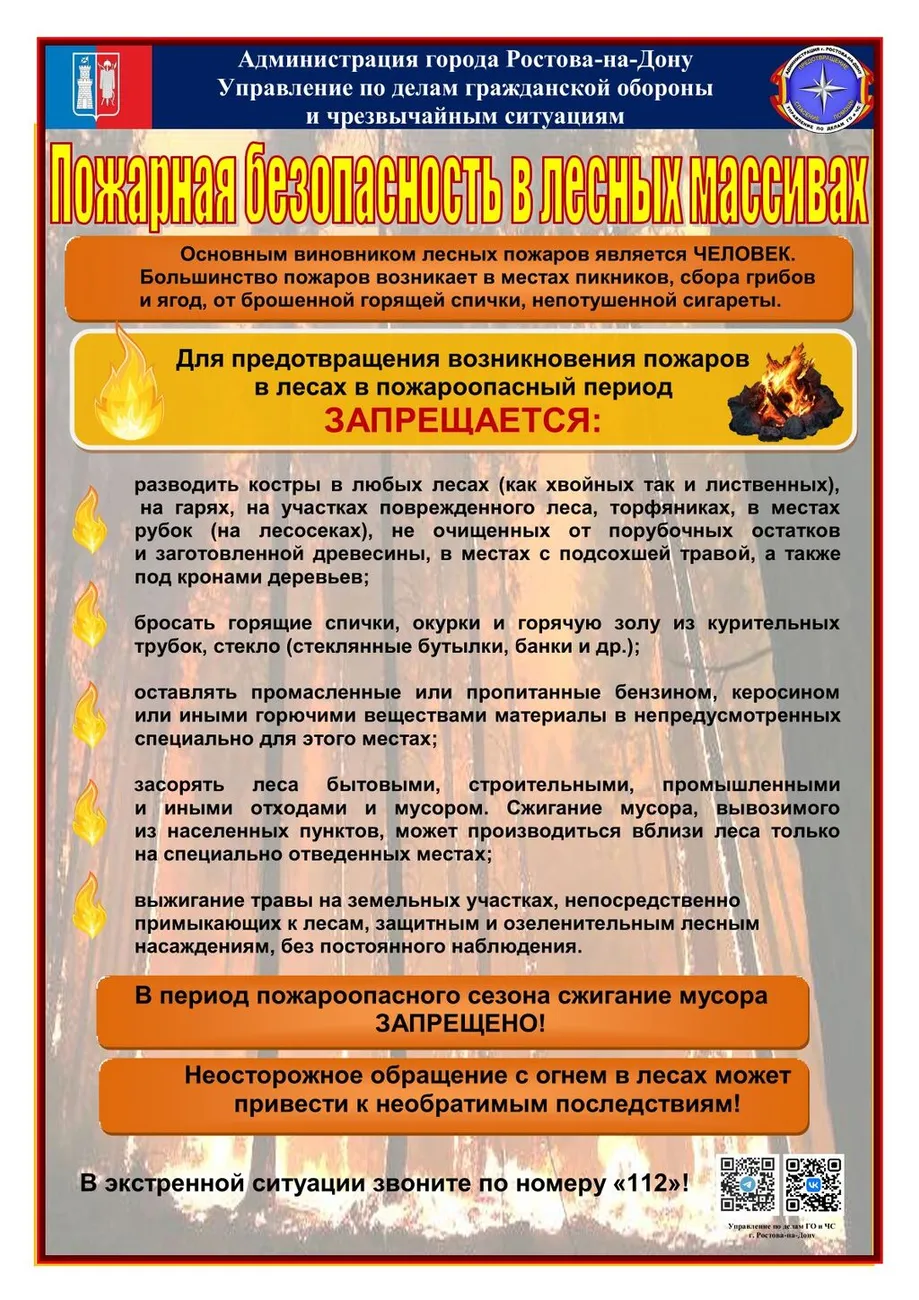 16. Пожарная безопасность в лесных массивах